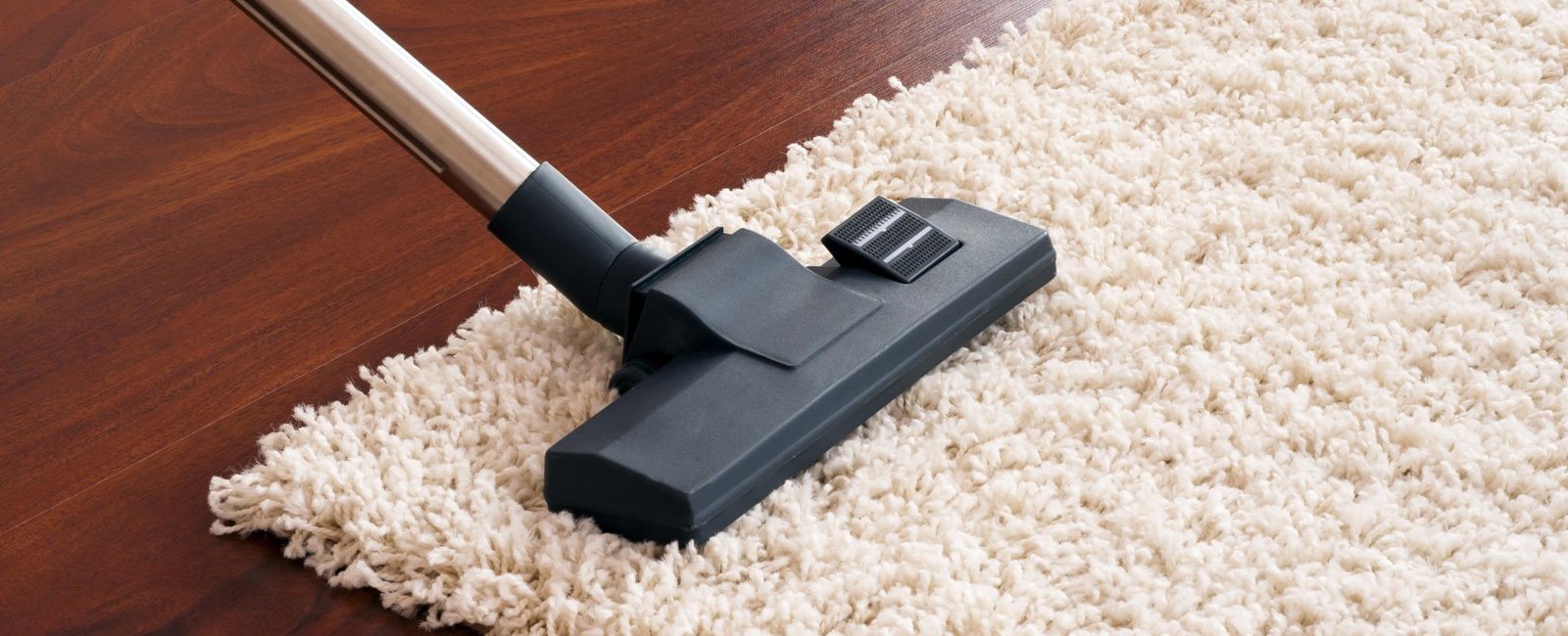 Image result for carpet cleaning sydney