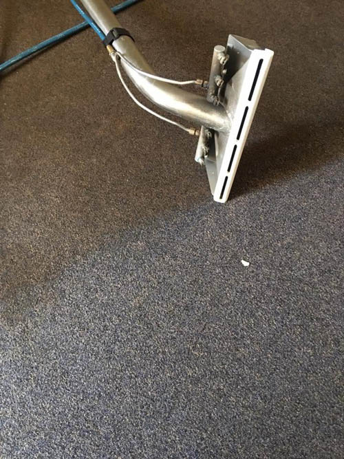 Carpet cleaning in a Sydney home with clean and dirty sides visible