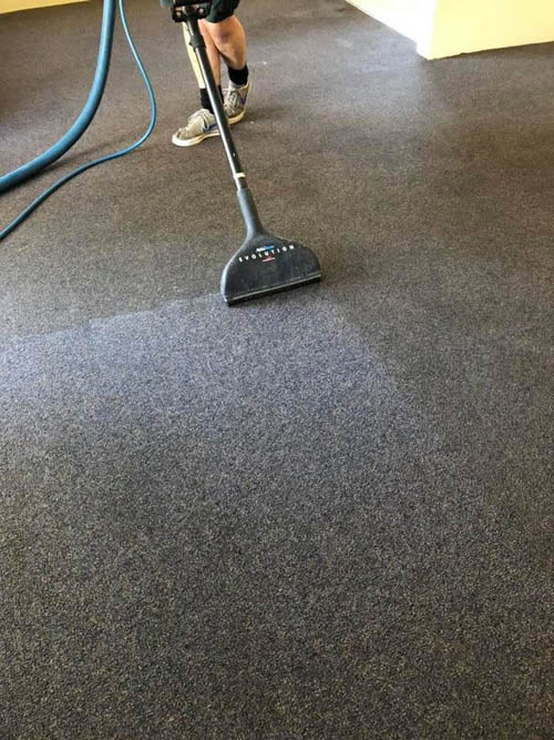 Before and after carpet steam cleaning by Prestige