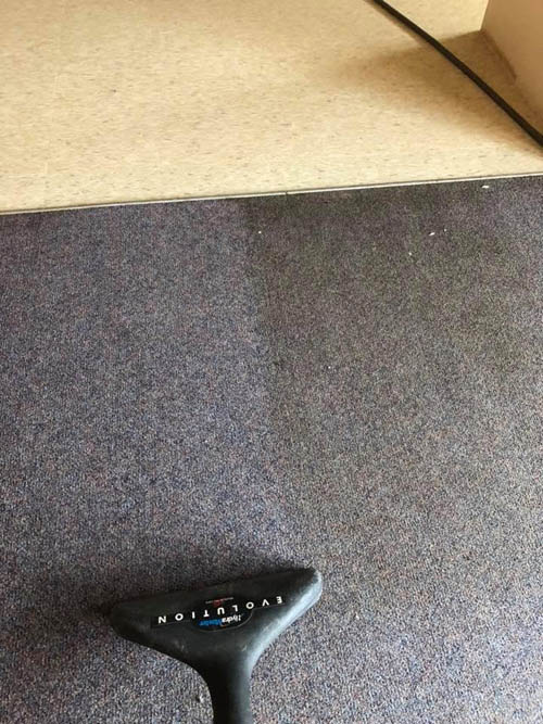 Hot water extraction wand restoring a residential carpet