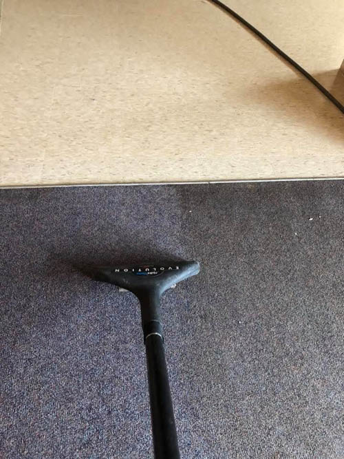 Before and after carpet steam cleaning by Prestige