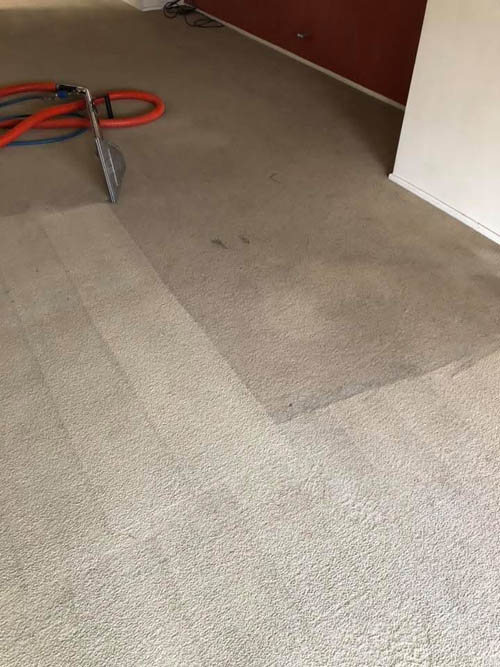 Before and after carpet steam cleaning by Prestige