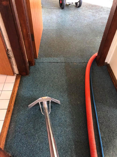 Carpet steam cleaning in progress, the cleaned strip clearly brighter