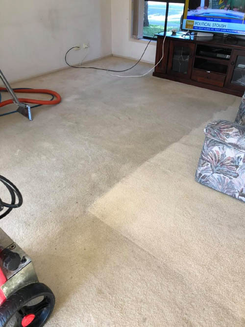 Before and after carpet steam cleaning by Prestige