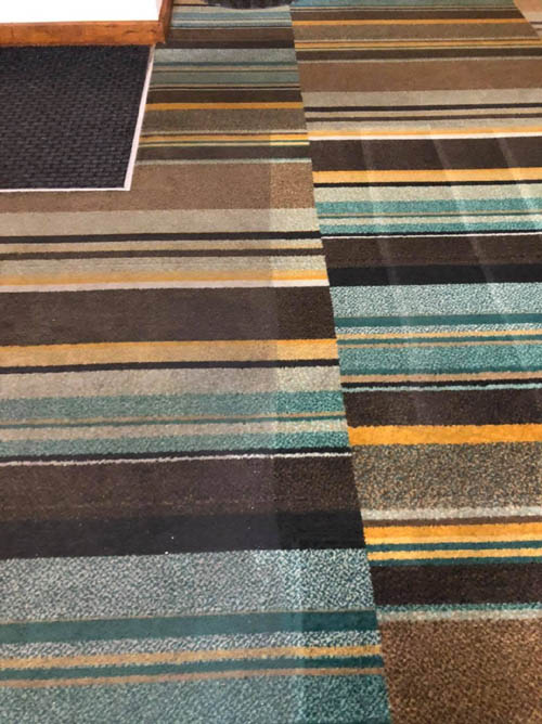 Freshly steam cleaned carpet next to an uncleaned section