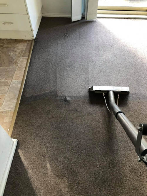 Hot water extraction wand restoring a residential carpet