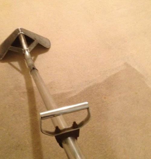 Carpet steam cleaning in progress, the cleaned strip clearly brighter