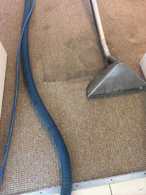 Hot water extraction wand restoring a residential carpet