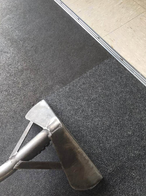 Freshly steam cleaned carpet next to an uncleaned section