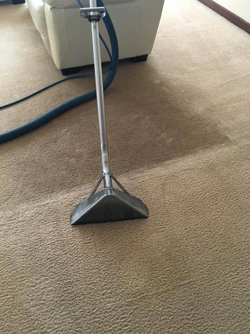 Before and after carpet steam cleaning by Prestige