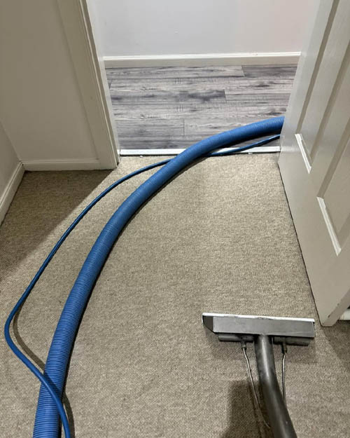 Hot water extraction wand restoring a residential carpet