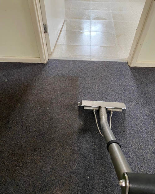 Carpet cleaning in a Sydney home with clean and dirty sides visible