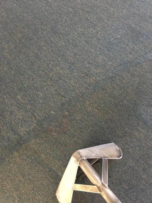 Carpet steam cleaning in progress, the cleaned strip clearly brighter